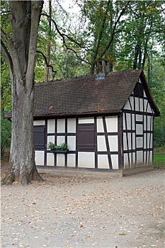 xôsominhngoc