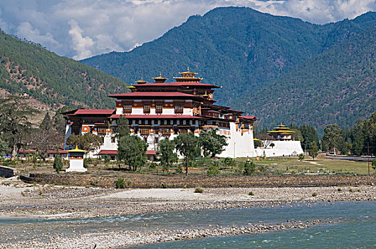 bạch thủ lô chuẩn