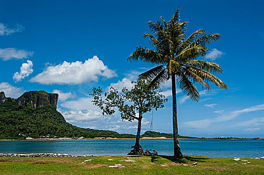 soi cau dau duoi mb