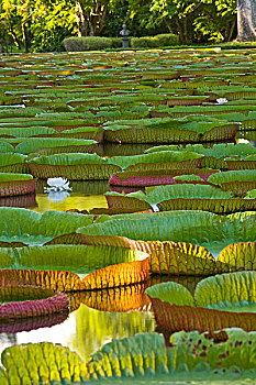 du doan xo so mien bac minh ngoc