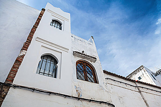 bạch thủ đề miền bắc