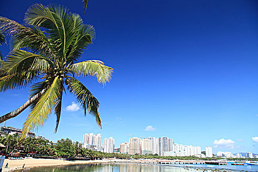 soi cầu 100