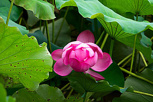 soi cầu 3s miền bắc
