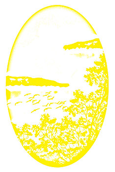 xổ số hàng tuần