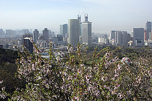 soi cau xsmb 366