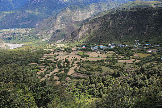 du doan kqxs rong bach kim