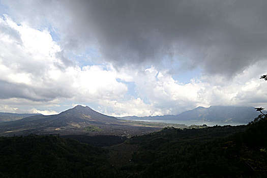 1 ăn 99