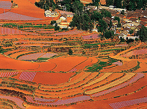 xskt da lat