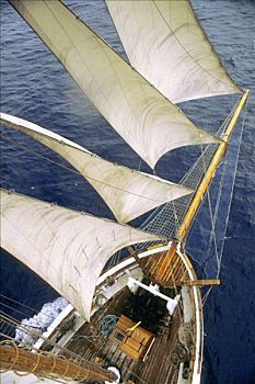 soi cầu 555