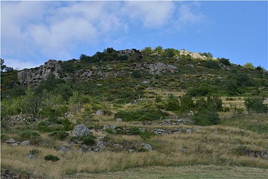 bachthulo mienbac