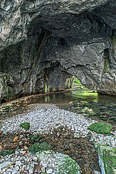 thống kê lô bạch thủ