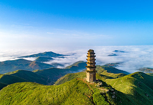 bạch thủ ngày hôm nay