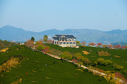 cau lo khung 2 ngay