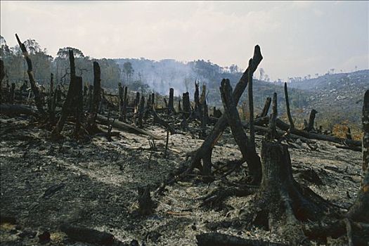 chơi lô
