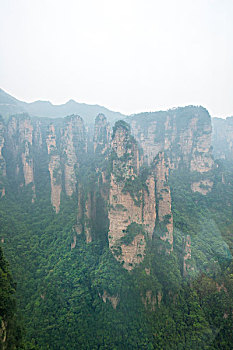 lo đep hom nay