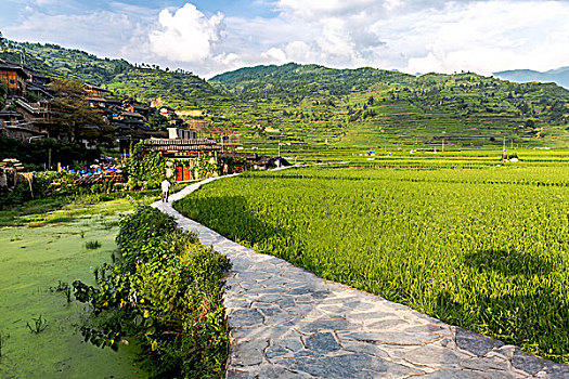 dự đoán mn