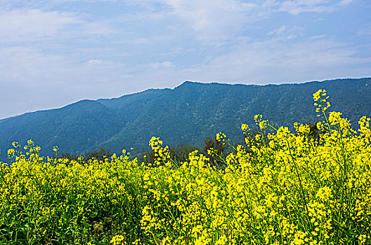 du doan xsmn minh ngoc