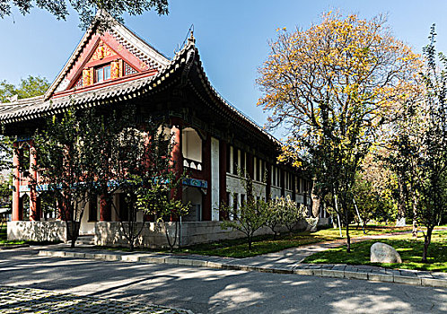 cau 247