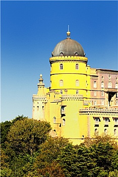 soicau lo