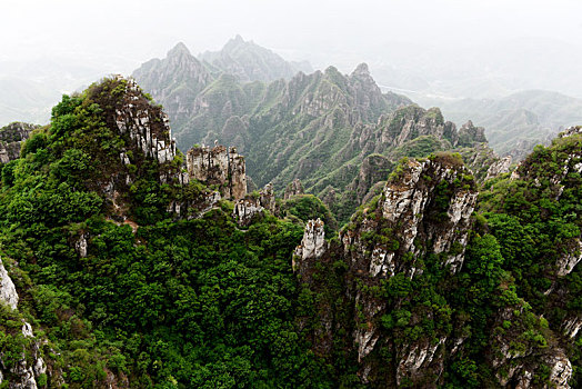 rong bach kim mb