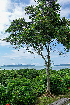 xổ số minh ngọc trực tiếp