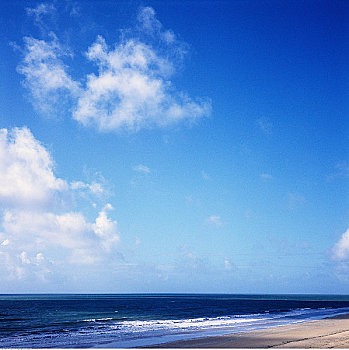 soi cau bac trung nam