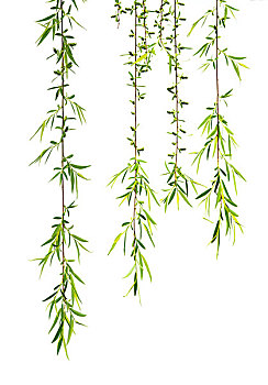 cầu xổ số miền bắc
