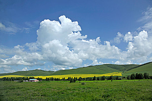 soi cau nhanh