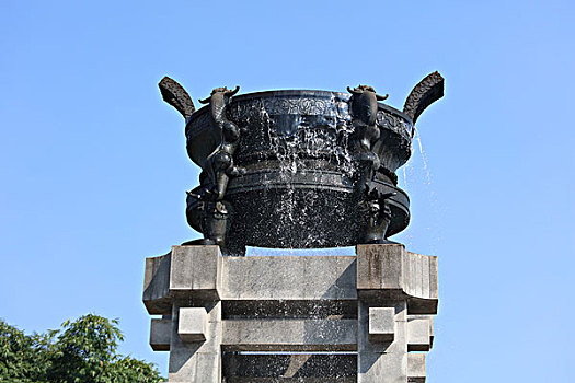 soi câu rong bạch kim