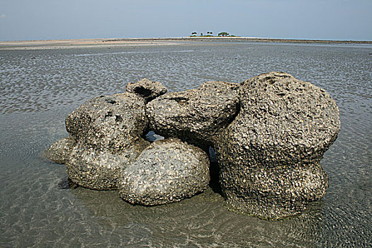 quay thu xo so mien bac