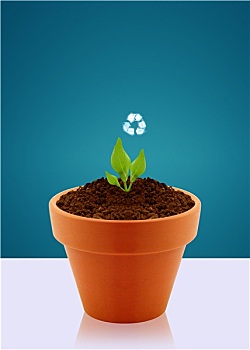 xổ số tiền giang tuần rồi