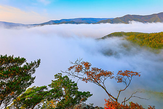 tại sao nhà cái luôn thắng