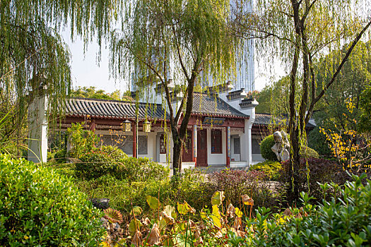 soi cau lo chinh xac 100