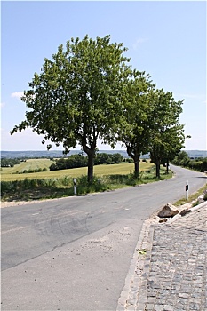du doan chinh xac 100