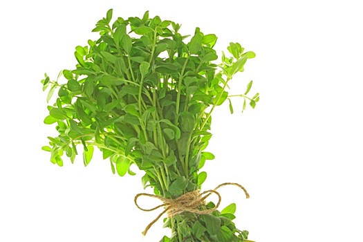 kết quả xổ số miền bắc kqxsmb hôm nay