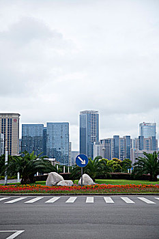 soi cau thuan vu 286