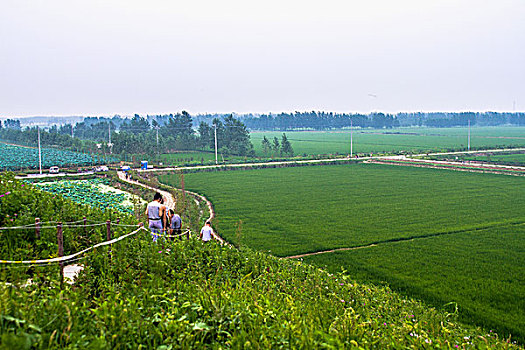 xổ số miền nam ngày thứ hai
