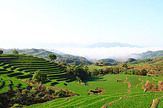 trực tiếp xổ số miền