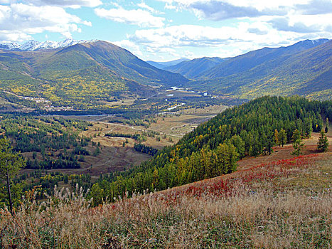 soi cau rong bach kim mb