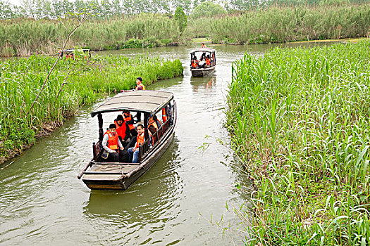 cầu đề bạch thủ