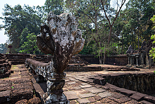 soi cau bach thu 8785