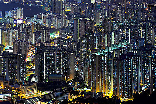soi cau lo de rong bach kim