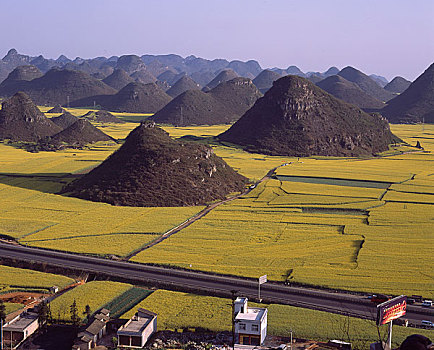 xsmn thu tu hang tuan