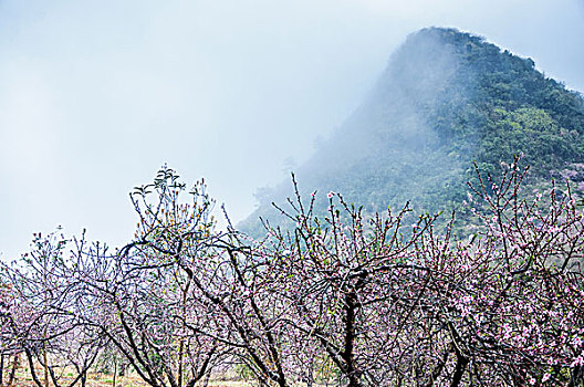 lô về theo ngày