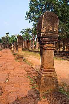 soi cầu đẹp