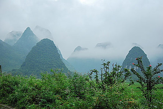 soi cầu bạch thủ miền bắc 24 giờ