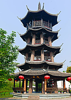 soi cau 24 gio mien phi