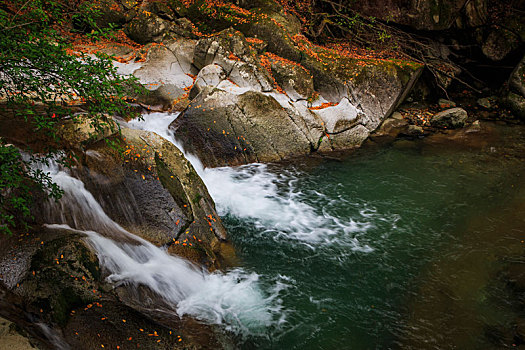 soi cầu tuấn vũ