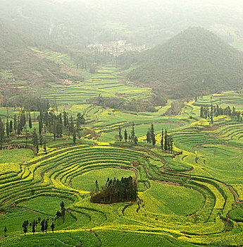 xo so an giang hom nay