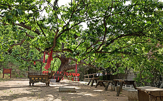 dàn đề hôm nay